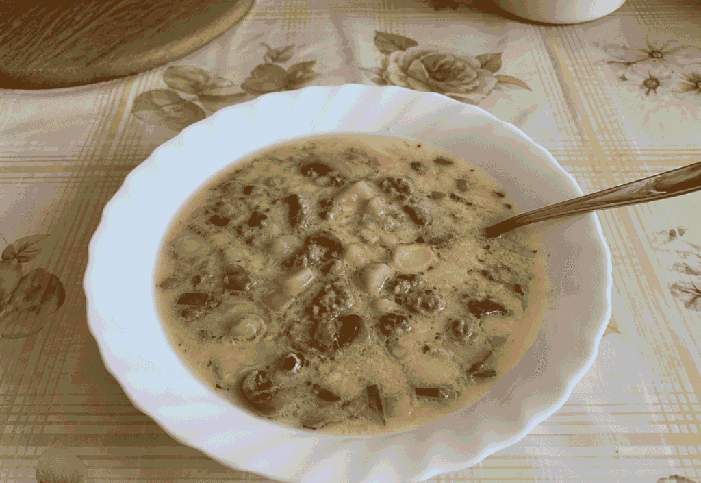 Zupa serowo porowa z pieczarkami i mięsem